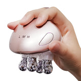 BANU RF EMS LED Facial Massager 포롤링 마사지기