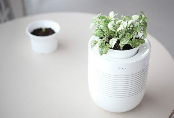 [Banu] Healing Pot Humidifier + Flower Pot
