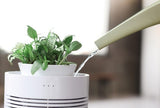 [Banu] Healing Pot Humidifier + Flower Pot